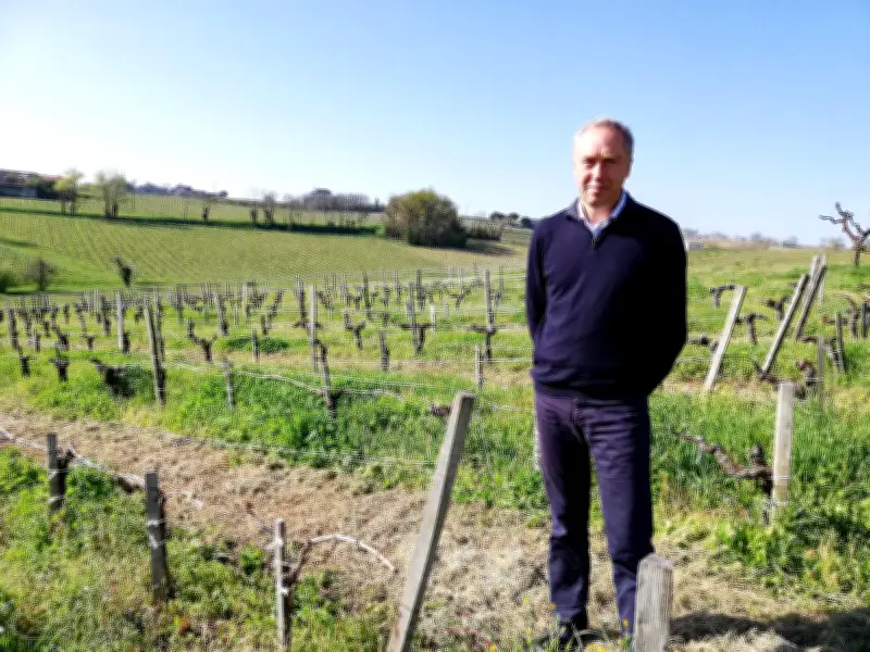La Chambre d'Agriculture de Gironde accompagne les viticulteurs vers la diversification face au déclin du vignoble