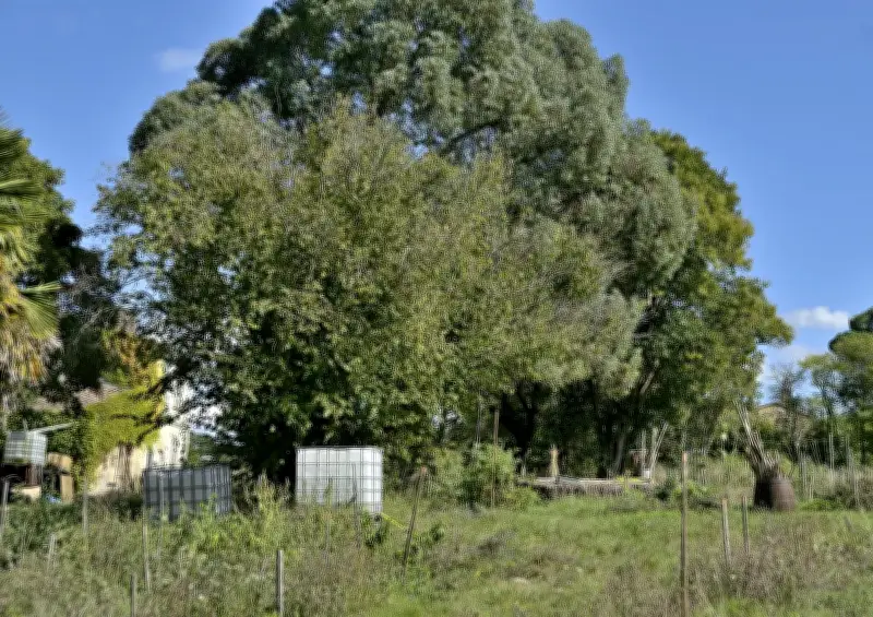 La compagnie Du je entre nous présente « Boris Vian, sa sœur et moi » à Anglade