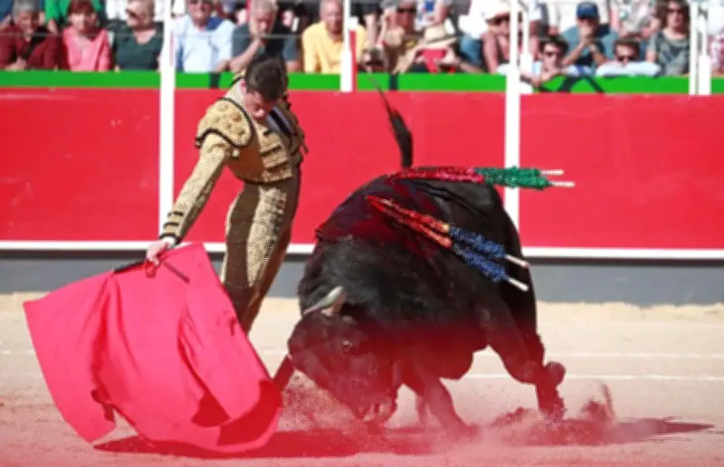 La corrida de La Brède menacée par des recours judiciaires avant sa tenue le 20 juin