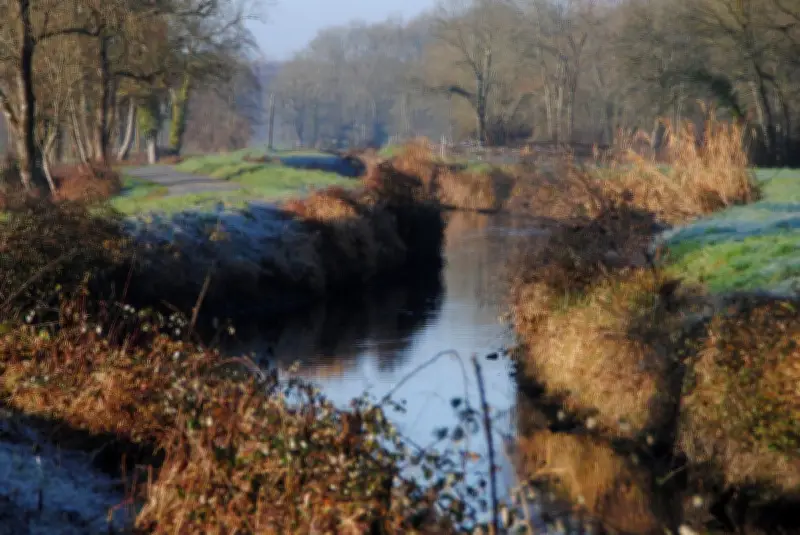 La Fédération de pêche de la Gironde organise un atelier gratuit pour protéger les milieux aquatiques