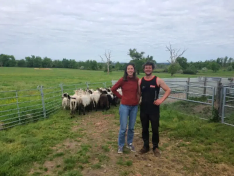 La Ferme Cinsî ouvre ses portes pour sensibiliser à l'agriculture durable