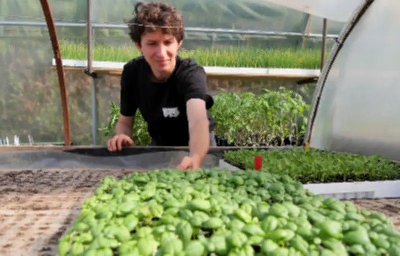 La Ferme de Quincé à Rennes : Un Oasis Agricole Urbain au Cœur de la Ville
