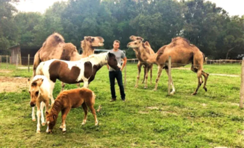 La Ferme Pédagogique Califourchon à Cézac : Une Immersion Naturelle pour Toute la Famille