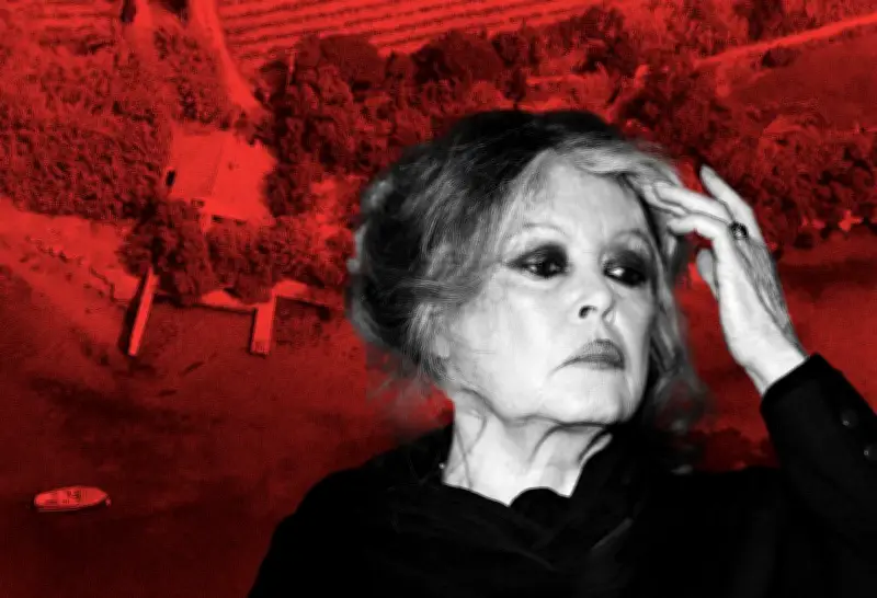 La Fondation Brigitte Bardot : un patrimoine financier colossal et controversé