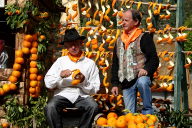 La Fête de l'Oranger célèbre ses 30 ans au Bar-sur-Loup, hommage au bigaradier