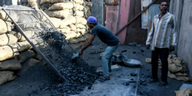 La guerre au Moyen-Orient relance l'utilisation du charbon dans le monde