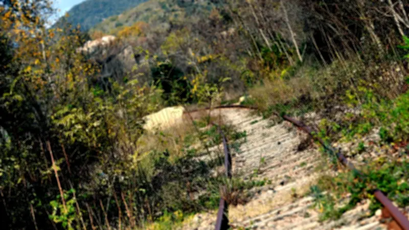 La ligne Alès-Bessèges : une nouvelle mobilisation contre des délais jugés trop lointains
