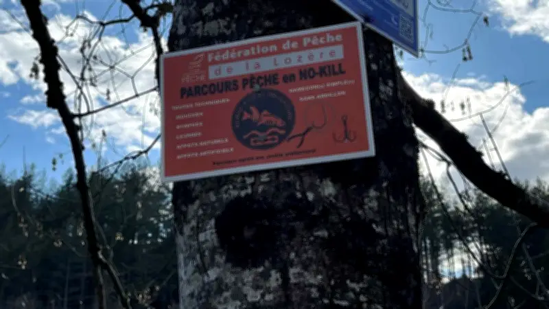 La Mimente inaugure un parcours de pêche no-kill de 900 mètres en Lozère