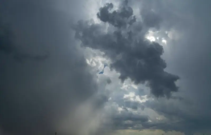 La paréidolie : pourquoi notre cerveau voit des formes partout