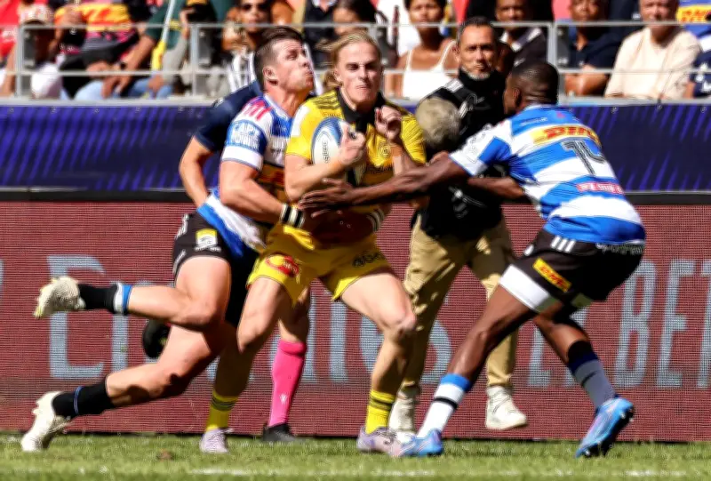 La Rochelle : la jeune garde affronte l'Ulster en quart de finale de Challenge Cup
