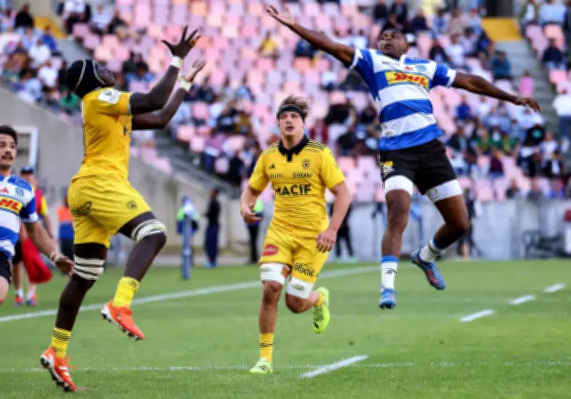 La Rochelle qualifiée en Challenge Cup : une vitrine pour le club et ses jeunes