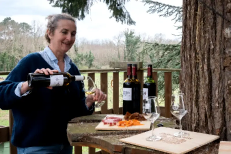 La Route des Vins au Sud de Bordeaux : Innovation et Œnotourisme de Graves à Sauternes