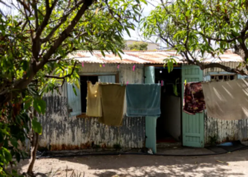 À La Réunion, les cases en bois sous tôle, un cache-misère face aux infiltrations d'eau