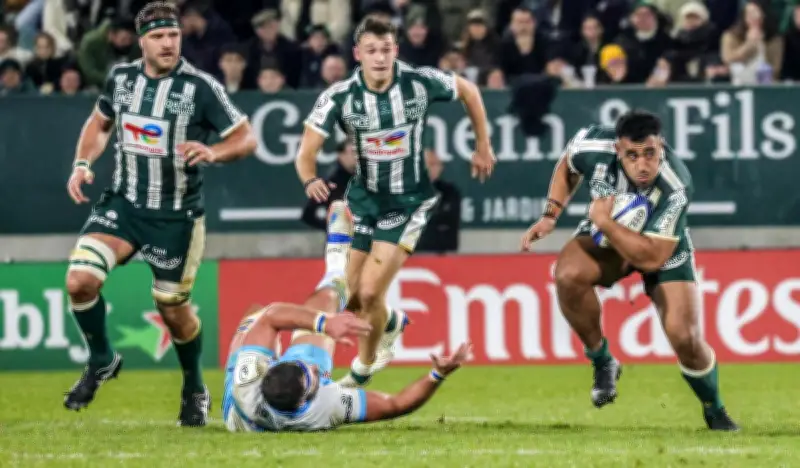 La Section Paloise éliminée de la Challenge Cup par les Zèbres de Parme