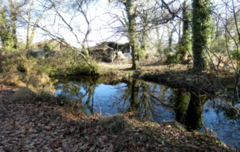 La Teste-de-Buch : le projet Sécary de 150 logements suscite une opposition tenace