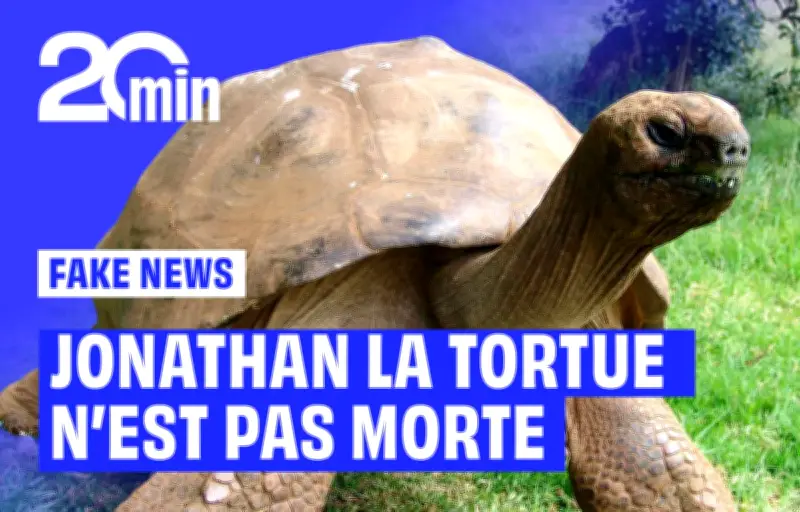 La tortue Jonathan, 193 ans, cible d'une arnaque aux cryptomonnaies après une fausse annonce de décès
