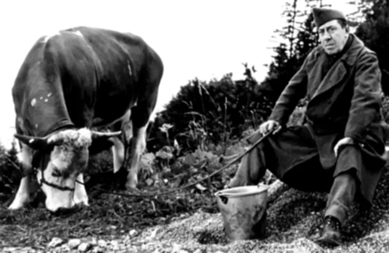 La Vache et le Prisonnier : le film de Verneuil qui réconciliait la France et l'Allemagne