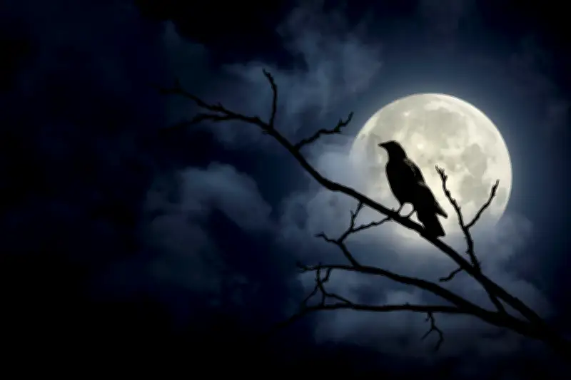 La Vague Horrifique Américaine Déferle Enfin sur les Librairies Françaises