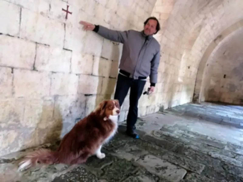 L'abbaye de Fontdouce renaît après l'incendie avec une saison culturelle enrichie