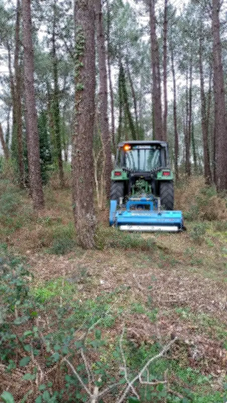 Labenne renforce sa prévention incendie avec un logiciel de suivi du débroussaillage