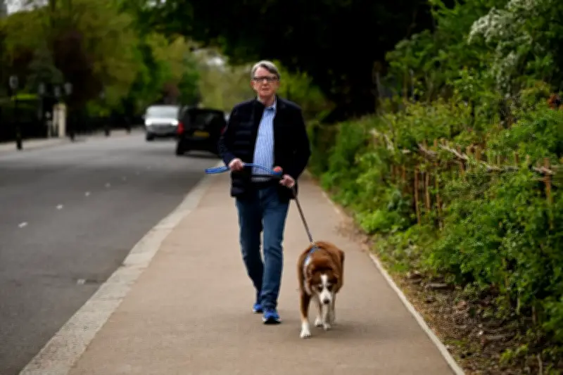 L'affaire Mandelson, un boulet qui entraîne Starmer par le fond