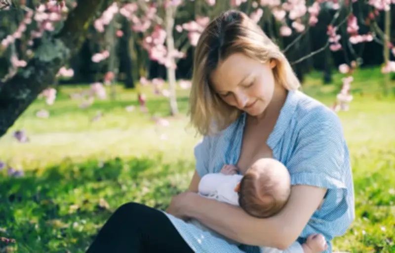 Lait maternel : un microbiote essentiel pour le bébé, des politiques à repenser