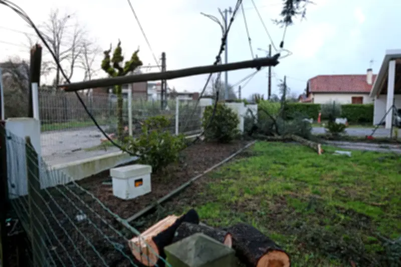 Landes : 1 200 poteaux encore à réparer après les tempêtes, retour à la normale espéré pour mai