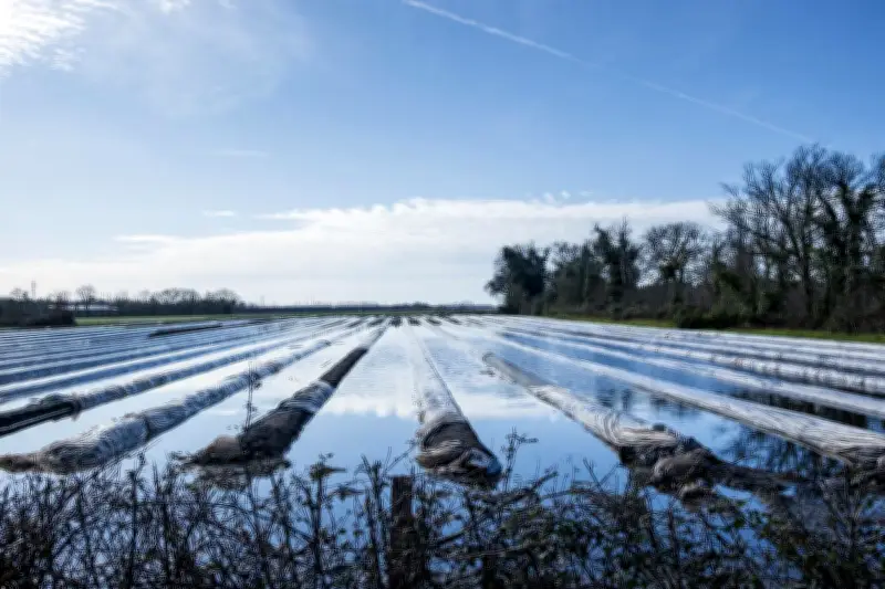 Landes : les nappes phréatiques rechargées par les pluies, mais l'été reste incertain
