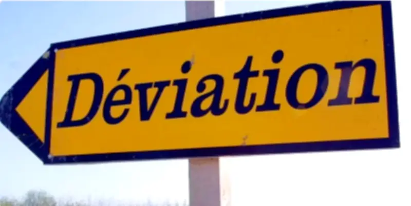 Landes : un arbre s'abat sur la RD 2, circulation perturbée