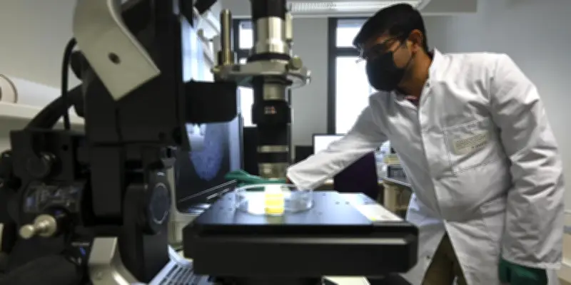 À l'Assemblée nationale, l'information scientifique de France Télévisions et Radio France critiquée sans nuances