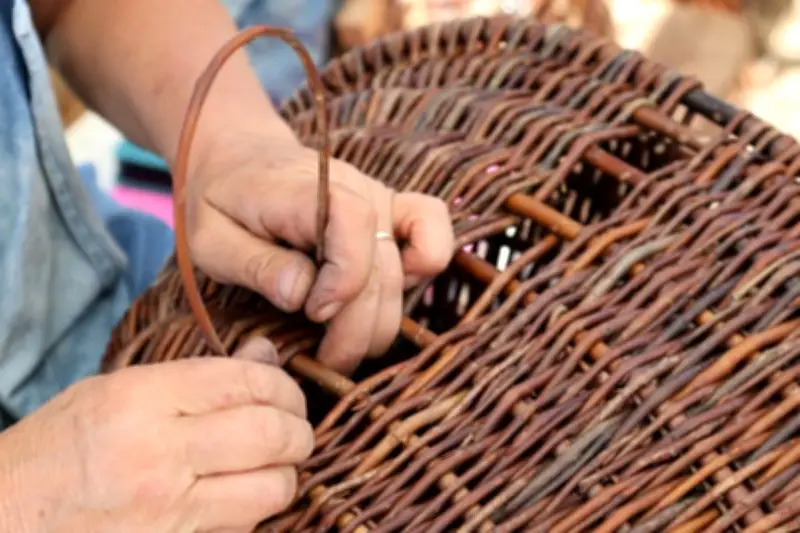 L'association Chants de la mer devient Trésors de l'île pour valoriser le patrimoine oléronais