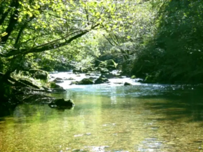 L'association de pêche APRN affiche une hausse de 14% des adhérents en 2025