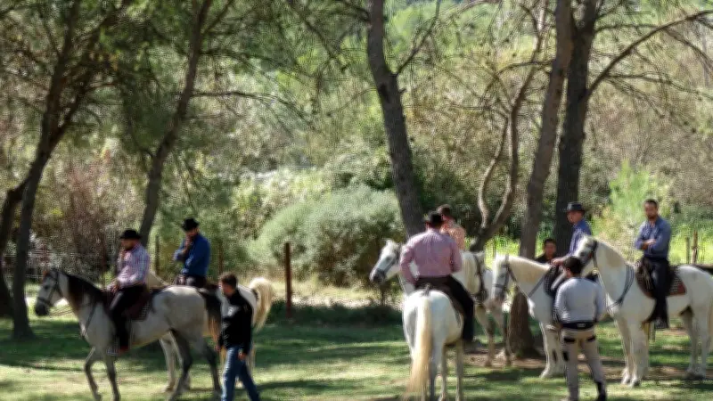 L'ATC invite à une immersion en Camargue pour découvrir les traditions taurines et équestres