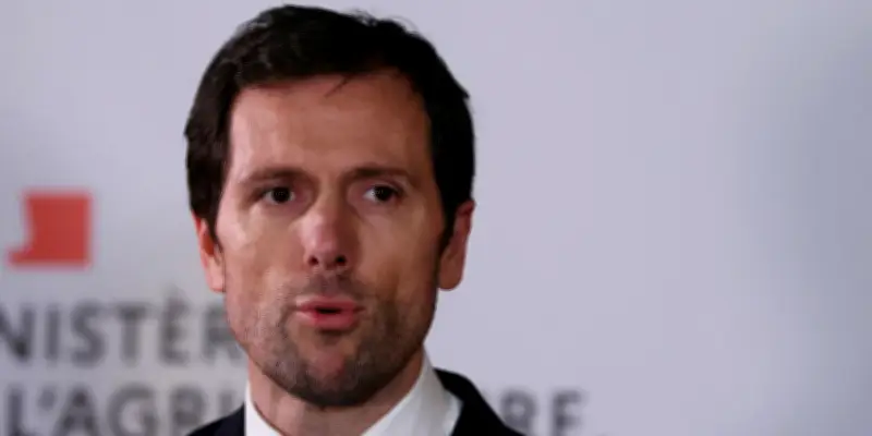 L'autorité environnementale sommée de gagner en efficacité : l'injonction gouvernementale inquiète