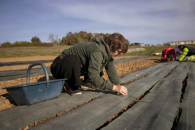 L'école Etre Gironde lance une formation préqualifiante 'De la terre à l'assiette'