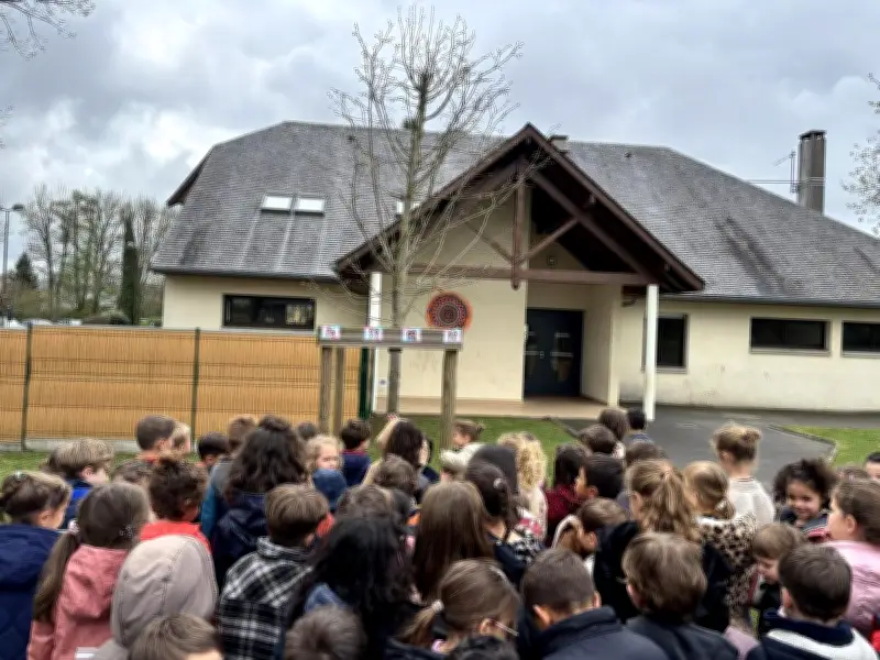 L'école Jean-Moulin inaugure un Arbre de l'empathie pour cultiver le vivre-ensemble
