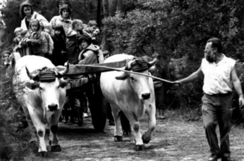 L'écomusée de Marquèze ouvre ses portes jusqu'au 27 septembre : plongée dans l'histoire landaise