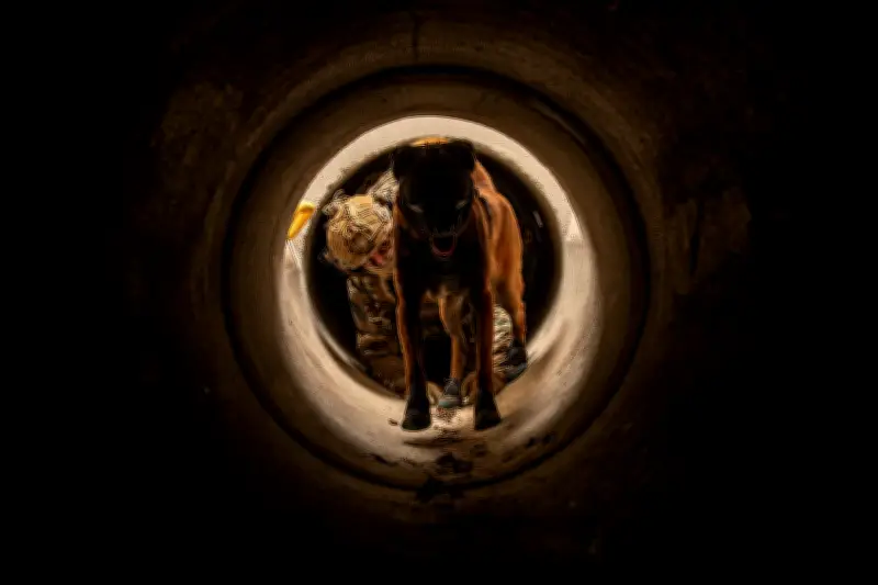 Le 132e RIC de Suippes : l'élite des chiens soldats et leur bien-être au cœur de la stratégie militaire