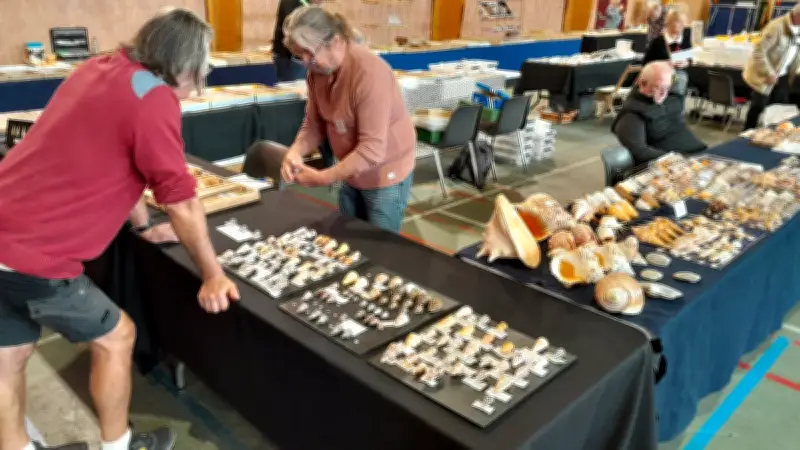 Le 6e Salon du Coquillage illumine Abeilhan avec ses trésors marins et terrestres