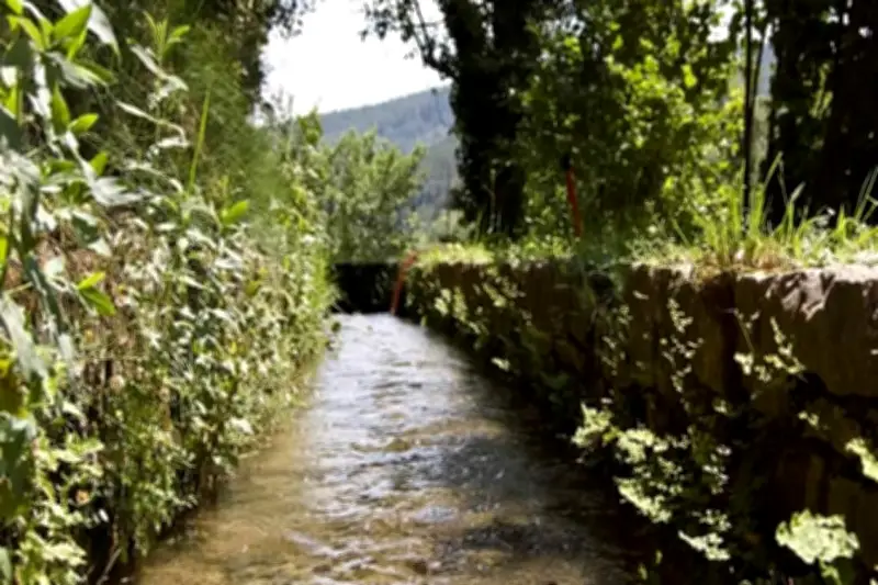 Le Béal des Moulins de Draguignan : un canal historique du XIIIe siècle toujours vital