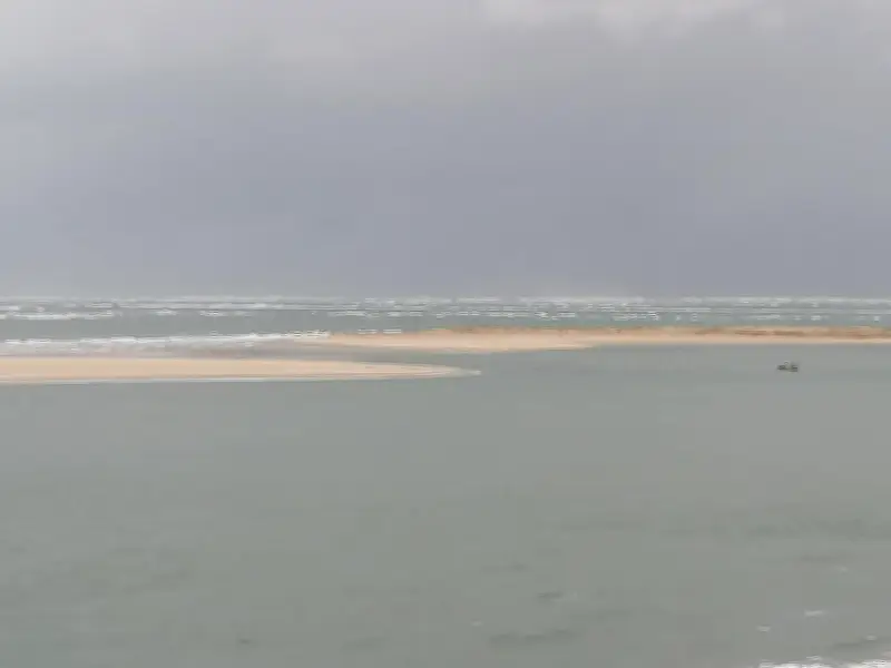 Le banc d'Arguin en perpétuelle mutation : une vidéo satellite révèle ses transformations depuis 1985