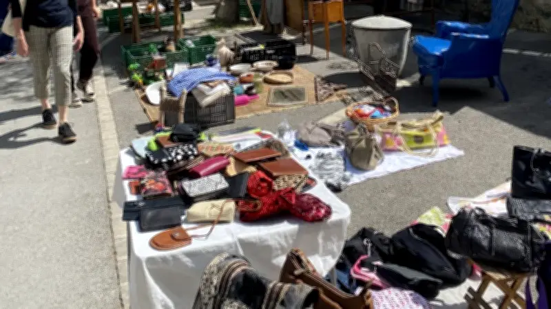 Le Bric-à-Brac de Blauzac Revient le Lundi de Pâques avec 300 Exposants