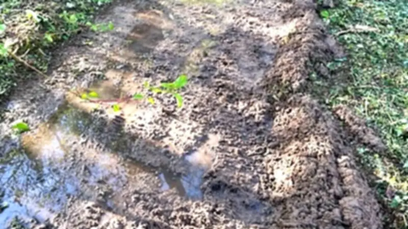 Le canal des Augustins débarrassé de son tuf par des bénévoles dévoués
