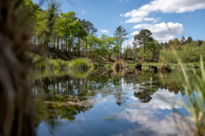 Le Centre Jean-Rostand rouvre à Pouydesseaux : un sanctuaire de biodiversité landais