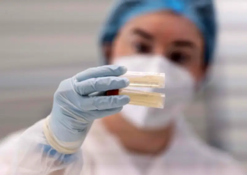 Le Cese propose une légalisation encadrée des tests ADN généalogiques