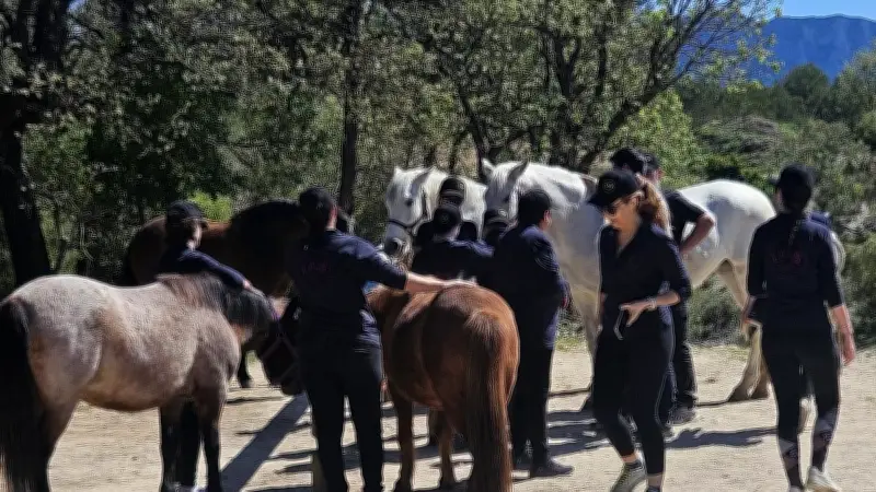 Le cheval, un puissant vecteur d'inclusion sociale dans l'Hérault