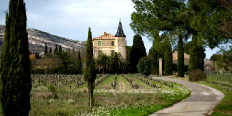 Le Château La Baronne, joyau des Corbières, renaît après les incendies