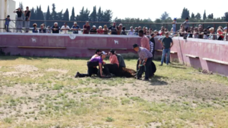 Le club taurin La Cléda célèbre avec succès la culture camarguaise lors de sa première journée
