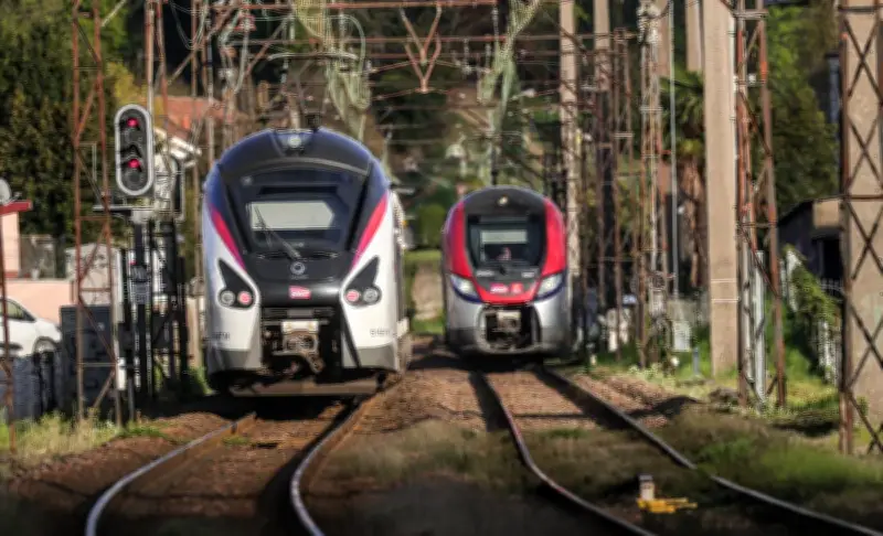 Le Comité d'orientation des infrastructures remet un rapport critique sur les LGV du Sud-Ouest