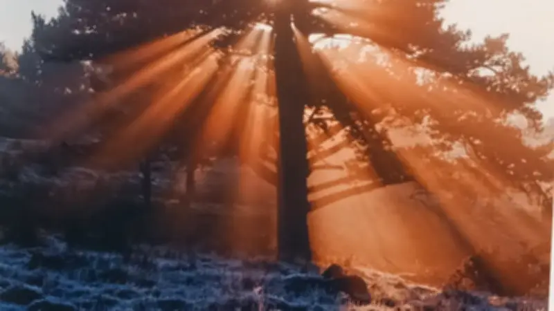 Le Déclic expose : un voyage photographique des Cévennes à la Norvège
